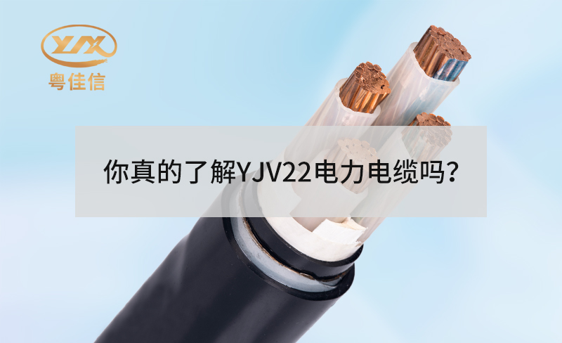 你真的了解YJV22左手视频app下载吗？